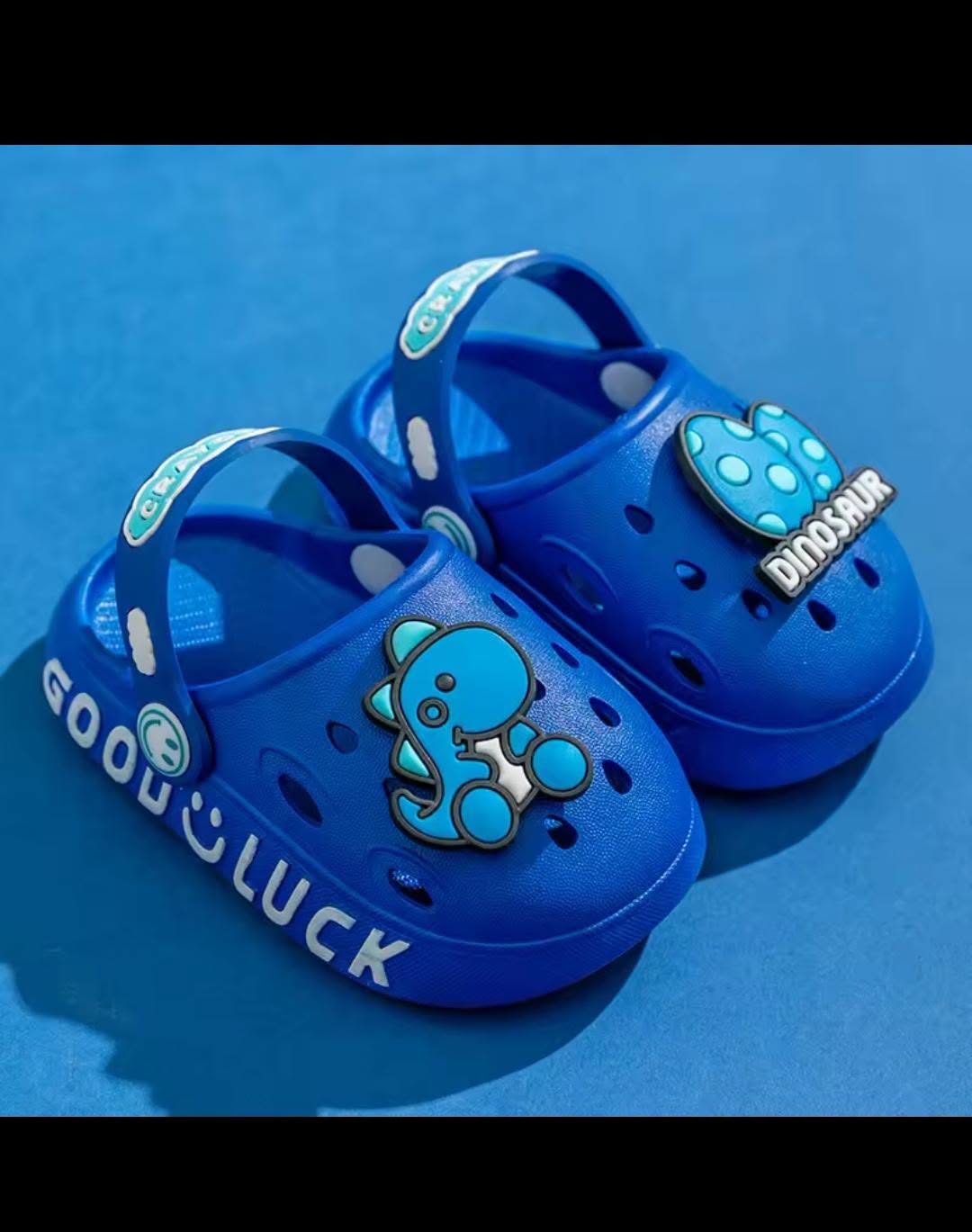 Dinosaur Crocs