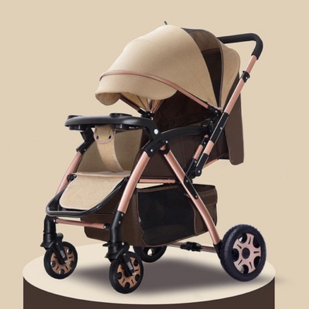 Wang 2024 baby stroller